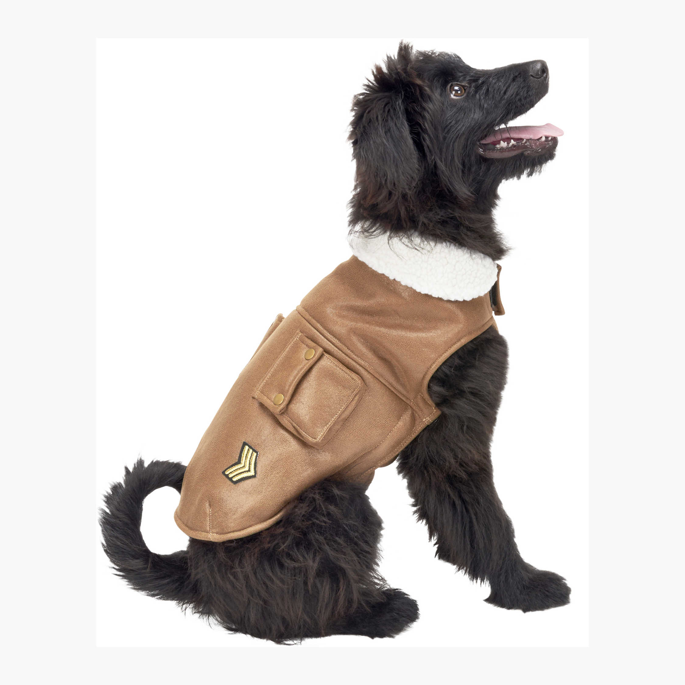 Dog pilot clearance jacket